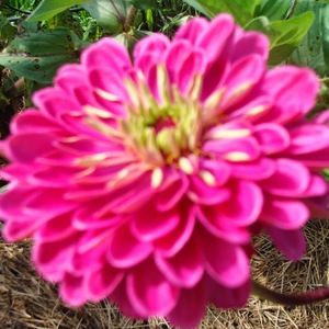 Meet your Posher, Anne